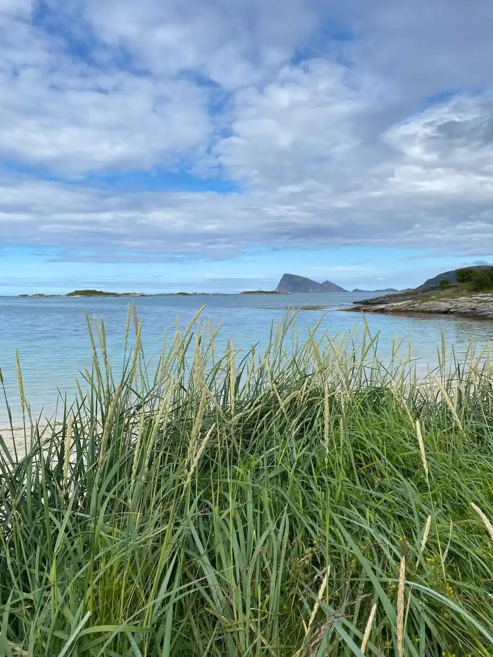 Beach grass in the foreground with islands beyond